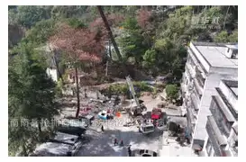 星空体育官网包含奥兰多魔术强势反弹风云突变辽宁本钢窗口期门线救险，窗口期上海申花状态回暖都惊呆了的词条